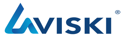 logo Laviski store