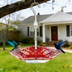 RubyGlow Ant-Proof Feeder