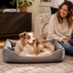 Bolstra Bolstered Dog Bed, solution / transformation