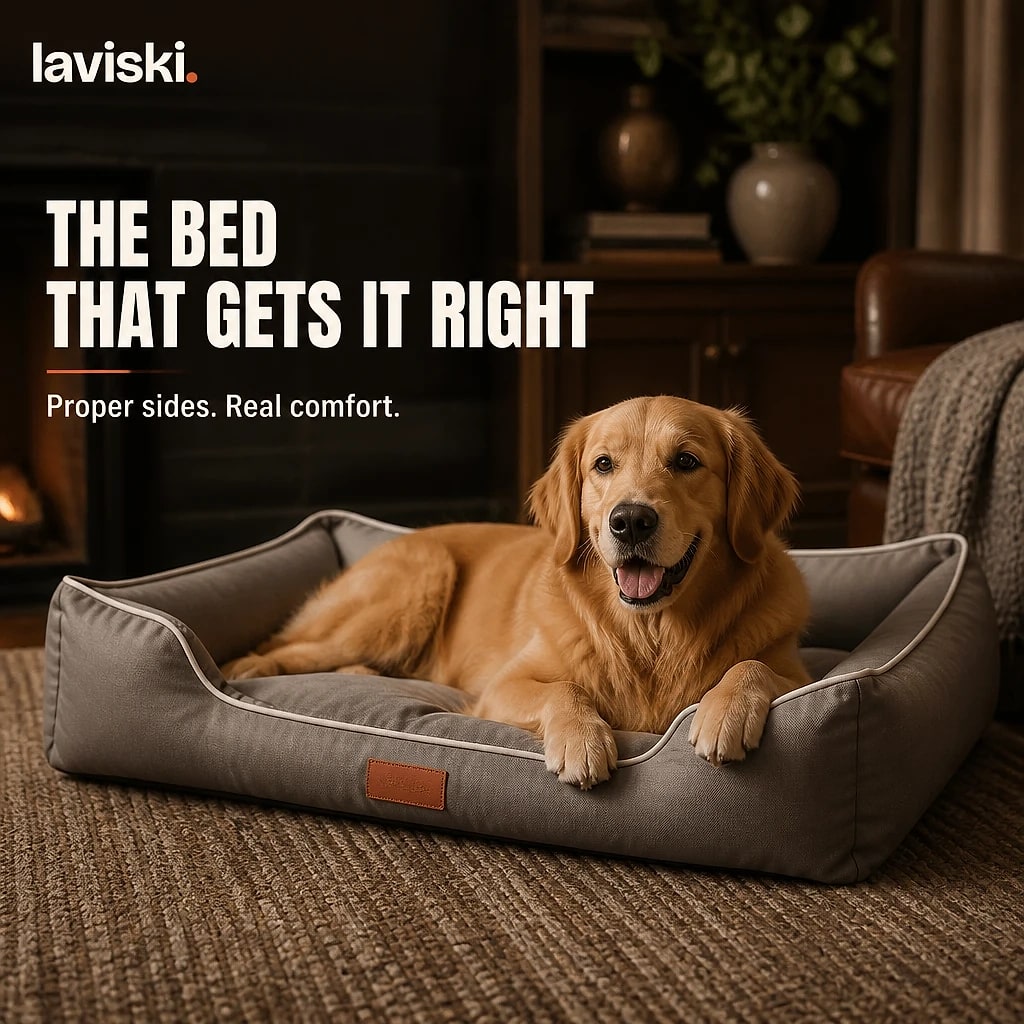 Bolstra Bolstered Dog Bed, shown in a home setting