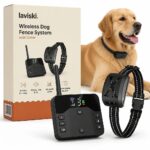 Boundex Wireless Dog Fence System with Collar, main product hero