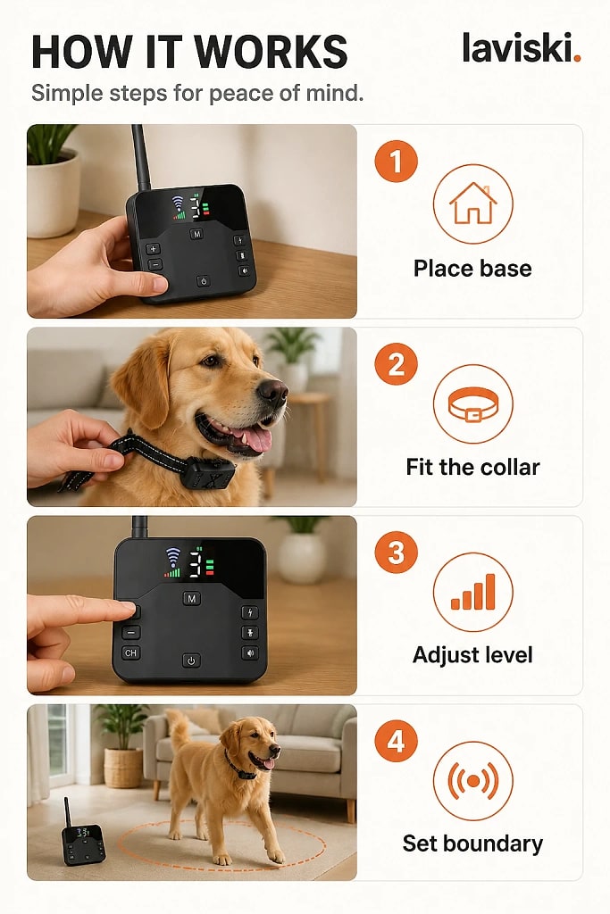 Boundex Wireless Dog Fence System with Collar, how to unpack and set it up