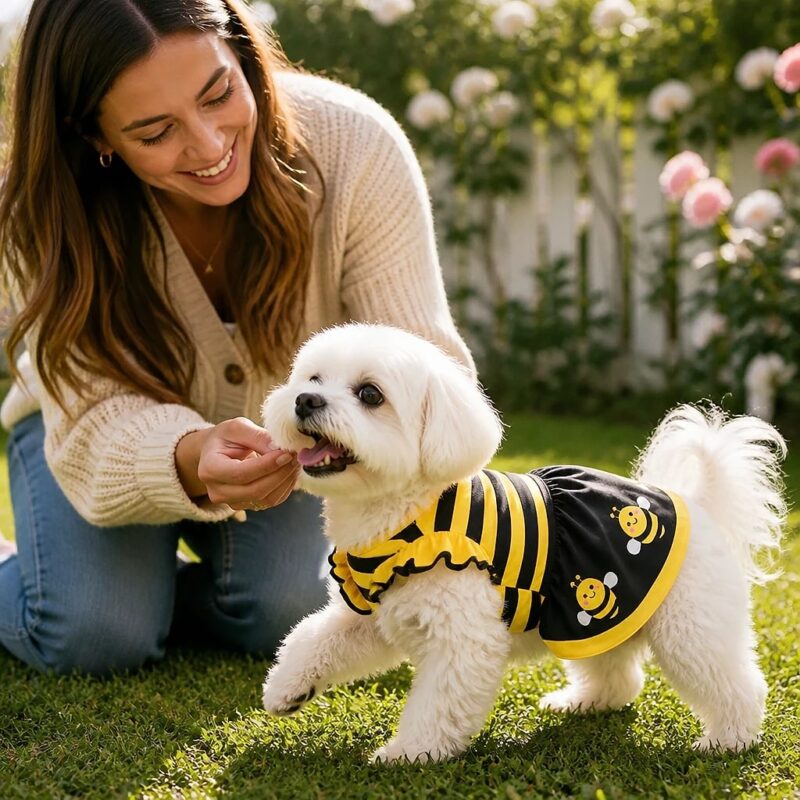 Bumbly Bee Dog Dress, avatar usage