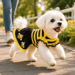 Bumbly Bee Dog Dress, solution / transformation
