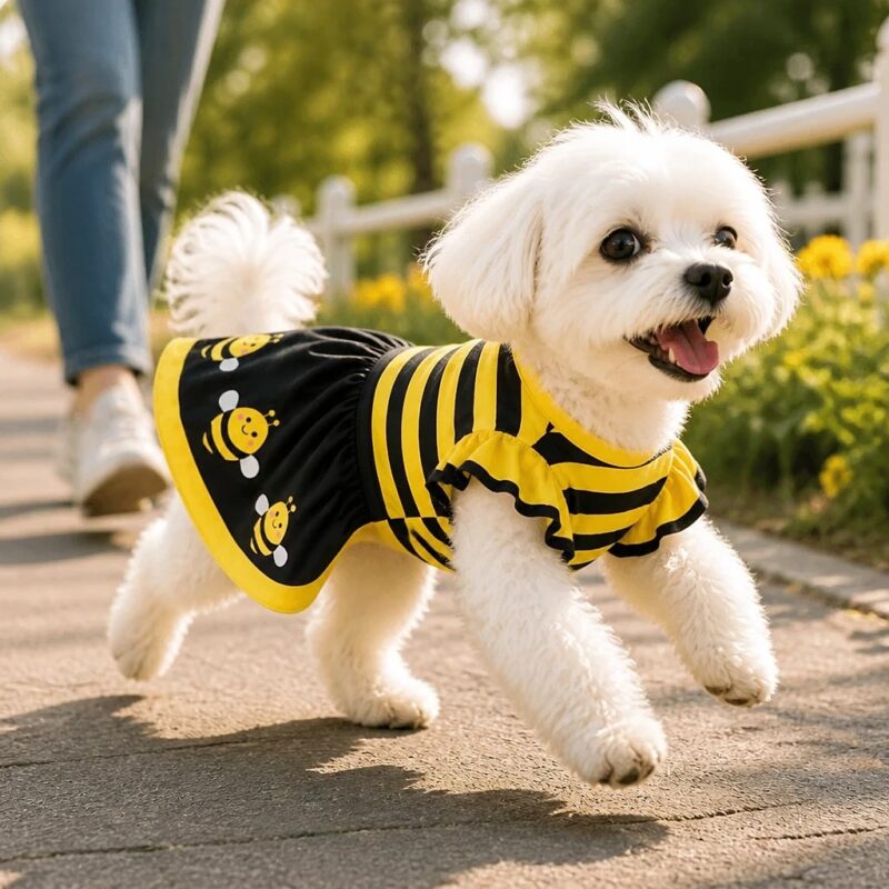 Bumbly Bee Dog Dress, solution / transformation