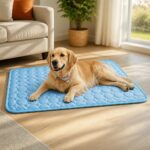 Glacia Flat Cooling Pet Mat, solution / transformation