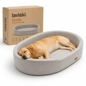 Ovalis Orthopedic Oval Dog Bed, main product hero