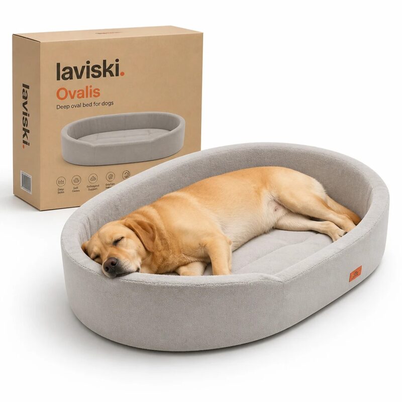 Ovalis Orthopedic Oval Dog Bed, main product hero