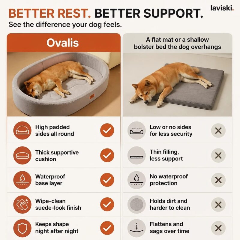 Ovalis Orthopedic Oval Dog Bed, comparison