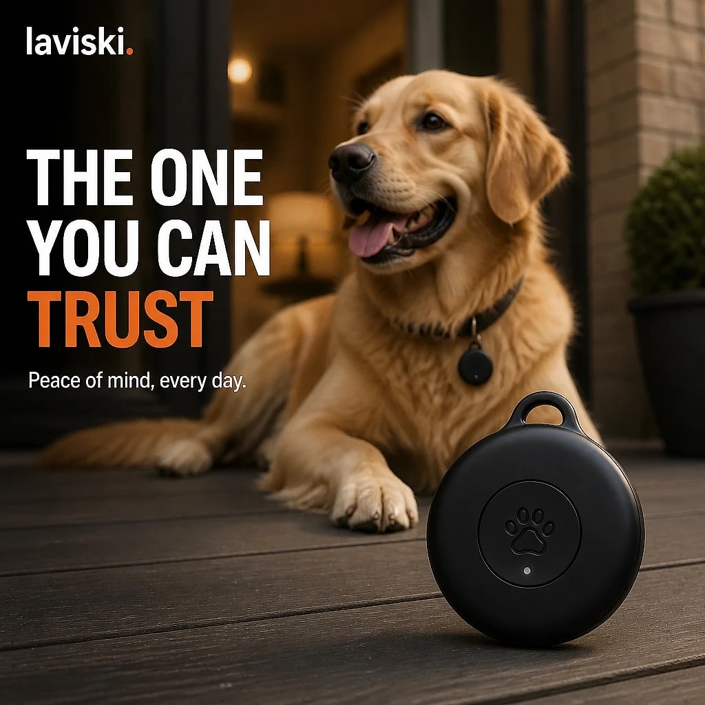 Pawloci Dog GPS Tracker, shown in a home setting