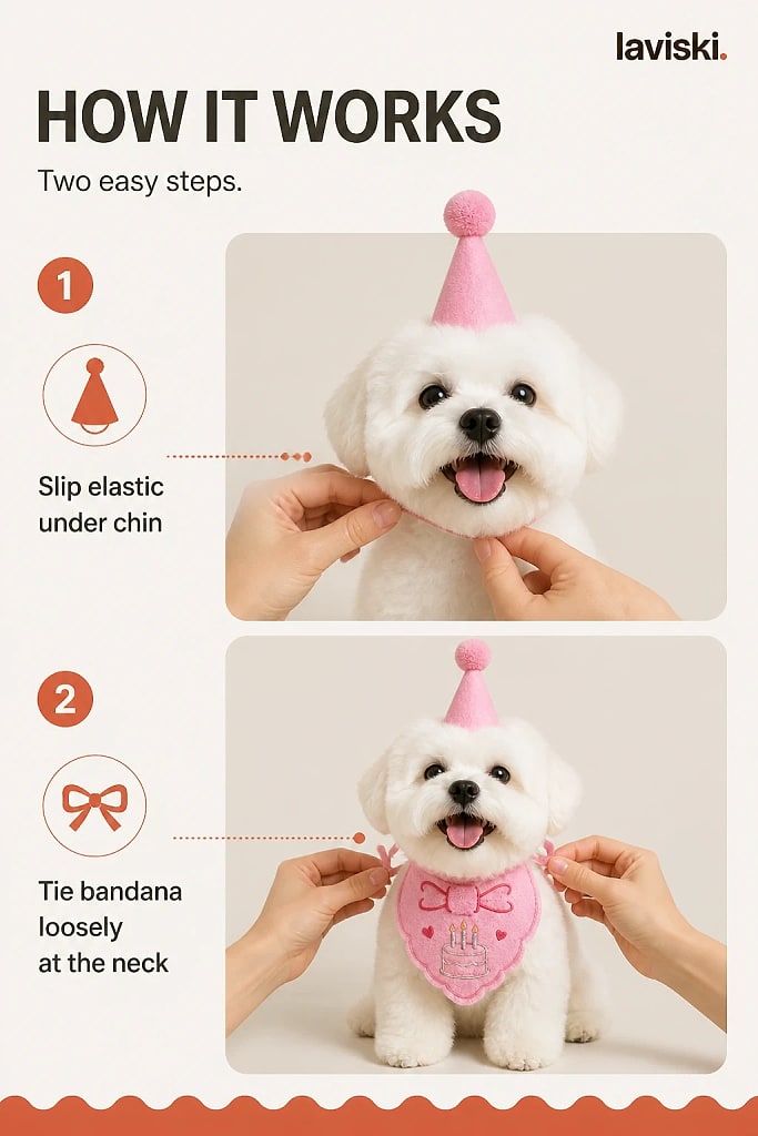 Pawty Birthday Hat and Bandana Set, how to unpack and set it up