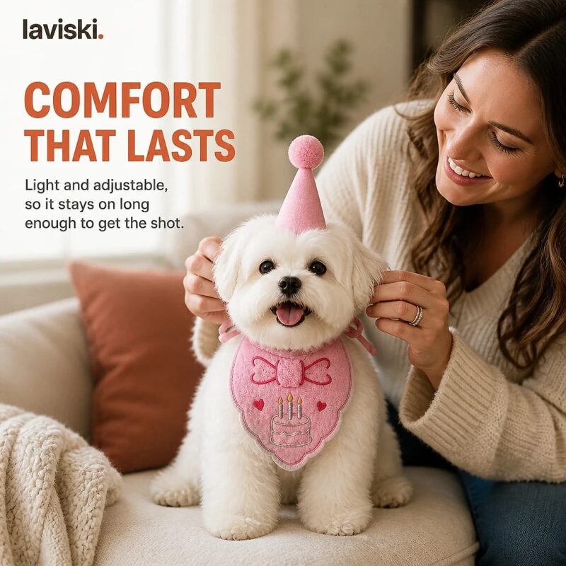 Pawty Birthday Hat and Bandana Set, closing hero