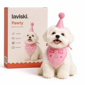 Pawty Birthday Hat & Bandana Set, main product hero
