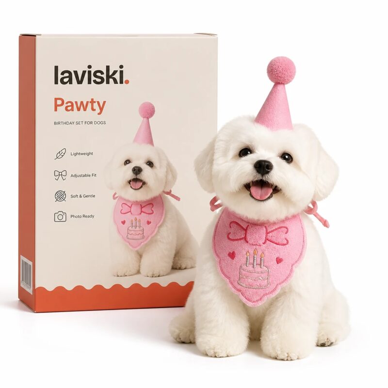 Pawty Birthday Hat & Bandana Set, main product hero
