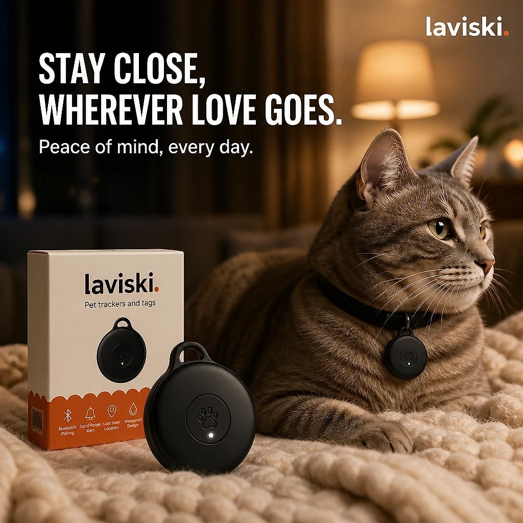 Pawvex GPS Tracker for Cats, shown in a home setting