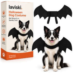Vespera – Felt Bat Wings for Dogs