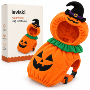 Jacoby – Pumpkin Dog Costume