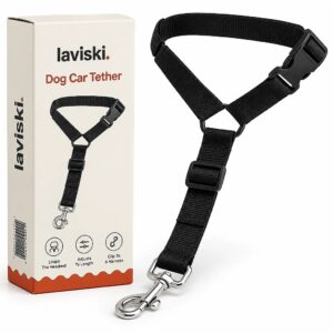 Ancora Dog Car Tether, main product hero