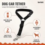 Ancora Dog Car Tether, feature showcase