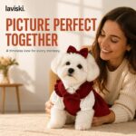 Belora Corduroy Dog Dress Set, desired outcome