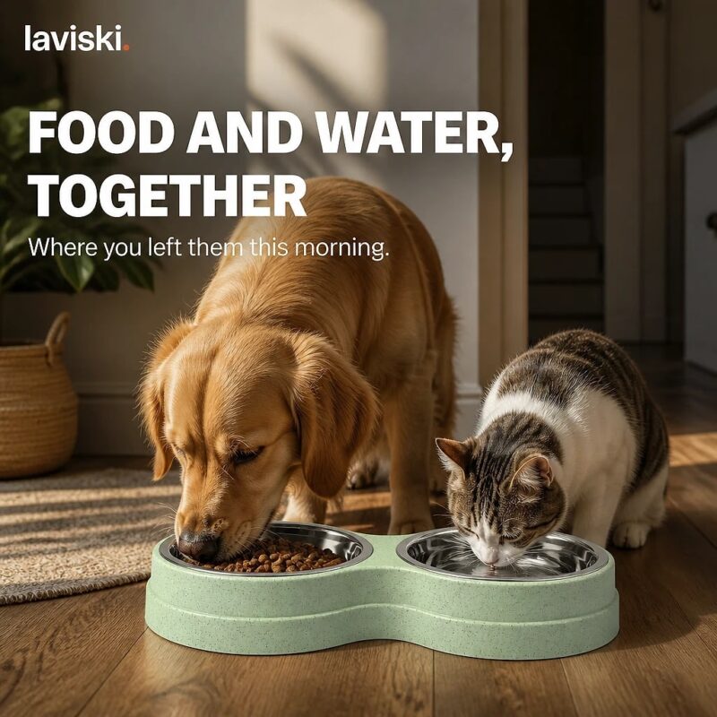 Duetta Double Pet Bowl with Steel Inserts, closing hero