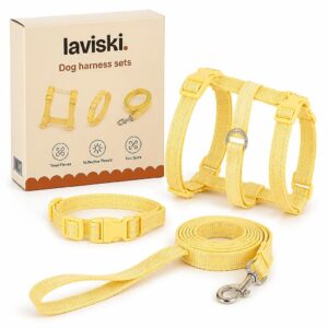 Dulcia Pastel Harness, Collar and Leash Set, main product hero