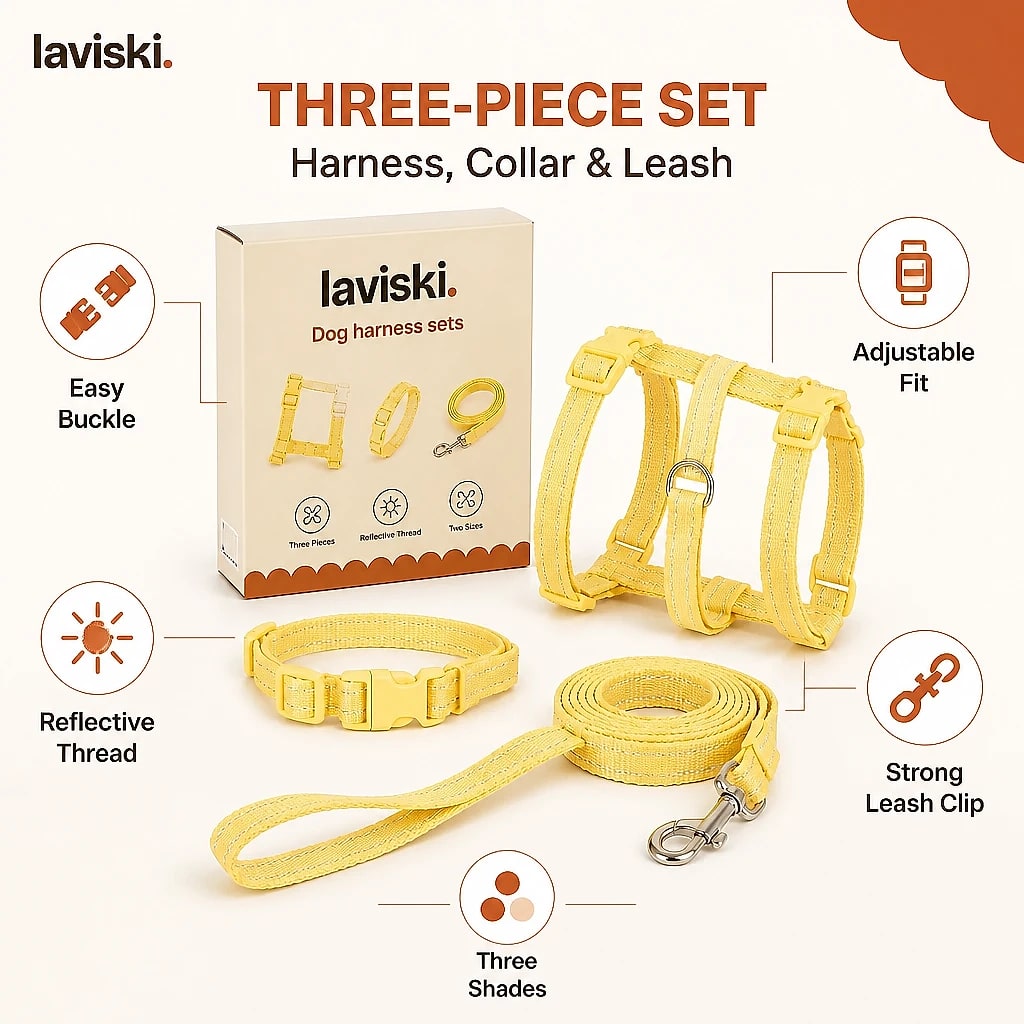 Dulcia Pastel Harness, Collar and Leash Set, close-up of the main features