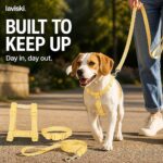 Dulcia Pastel Harness, Collar and Leash Set, trust / durability
