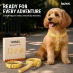 Dulcia Pastel Harness, Collar and Leash Set, closing hero