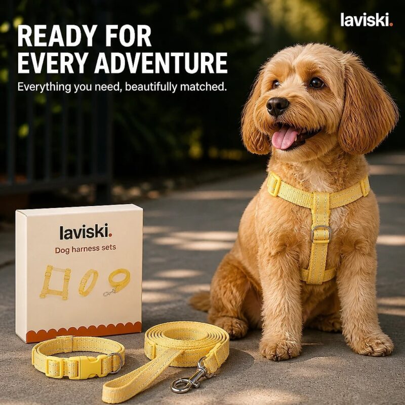 Dulcia Pastel Harness, Collar and Leash Set, closing hero