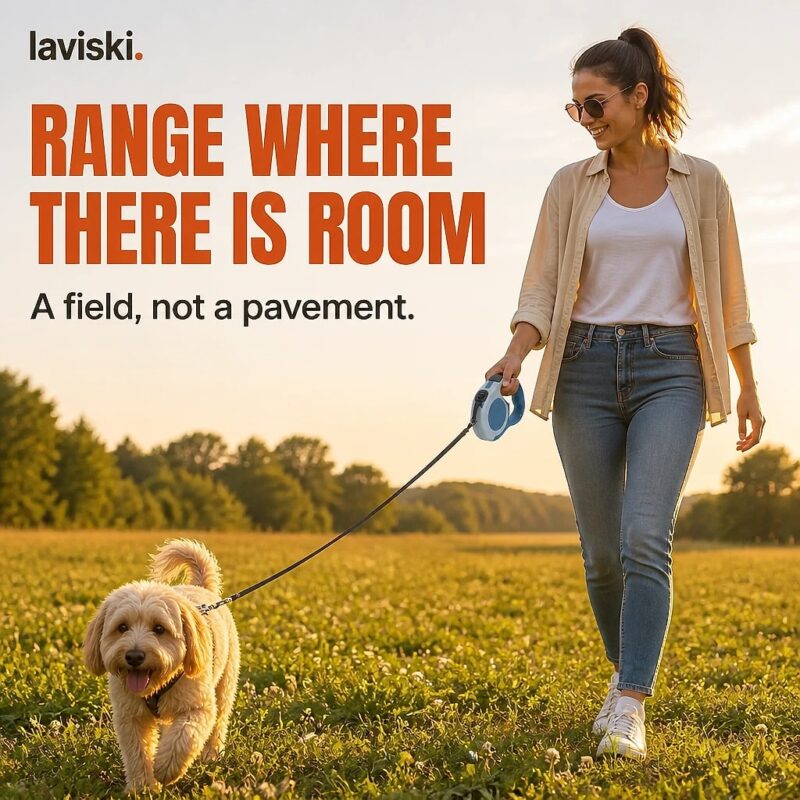 Extara Retractable Dog Lead, desired outcome