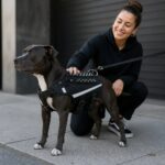 Ferrona Spiked Tactical Dog Harness, avatar usage