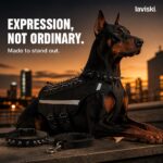 Ferrona Spiked Tactical Dog Harness, closing hero