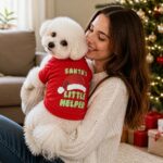 Festa Christmas Dog Sweatshirt, avatar usage