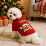 Festa Christmas Dog Sweatshirt, solution / transformation