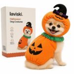 Jacoby Pumpkin Dog Costume, main product hero
