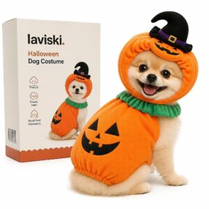 Jacoby Pumpkin Dog Costume, main product hero