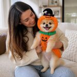 Jacoby Pumpkin Dog Costume, avatar usage