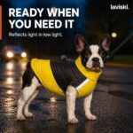 Lumira Reflective Waterproof Dog Coat, trust / durability
