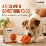 Nibbla Treat-Dispensing Rubber Ball, desired outcome