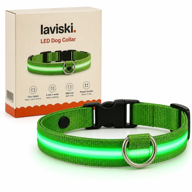 Noctra Light-Up Dog Collar, main product hero