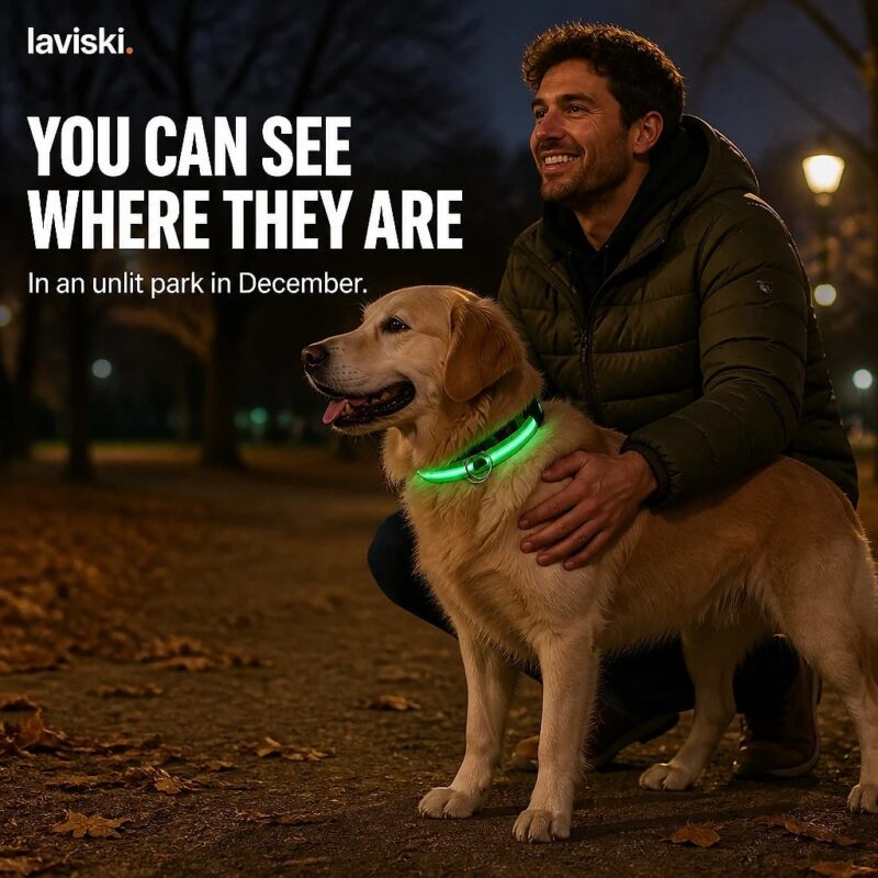Noctra Light-Up Dog Collar, desired outcome