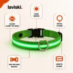 Noctra Light-Up Dog Collar, feature showcase
