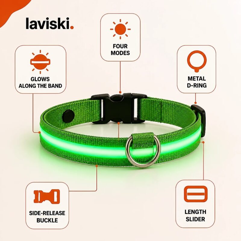 Noctra Light-Up Dog Collar, feature showcase