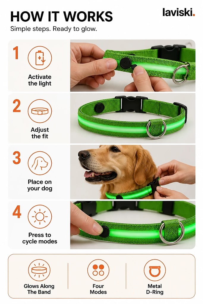 Noctra Light Up Dog Collar, how to unpack and set it up