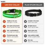 Noctra Light-Up Dog Collar, comparison