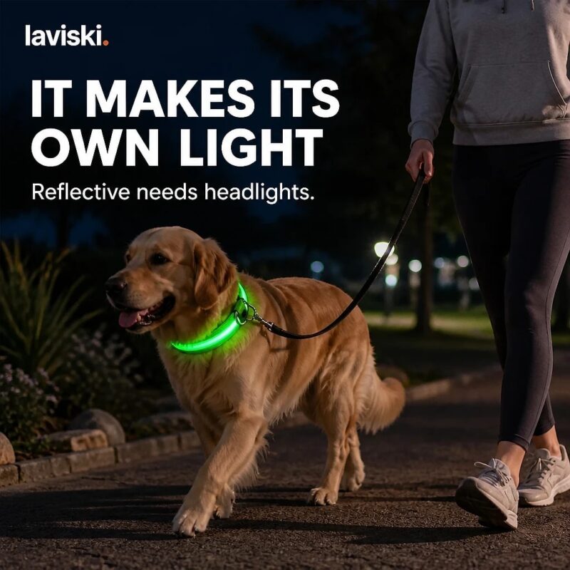 Noctra Light-Up Dog Collar, trust / durability