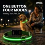 Noctra Light-Up Dog Collar, closing hero