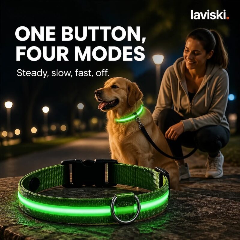 Noctra Light-Up Dog Collar, closing hero