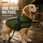 Nordra Padded Dog Jacket with Harness, closing hero